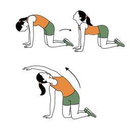 Cat-Cow & Side Stretch