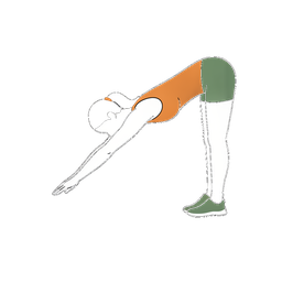 Illustration einer Person bei der Übung Inchworms