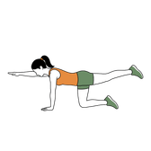 Illustration of a person doing Bird-Dog