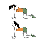 Illustration of a person doing Cat-Cow