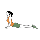 Illustration of a person doing Cobra