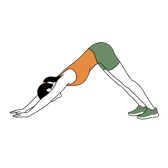 Illustration of a person doing Downward Dog