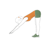 Illustration of a person doing Inchworms