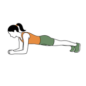 Illustration of a person doing Plank