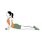 Illustration of a person doing Upward Dog